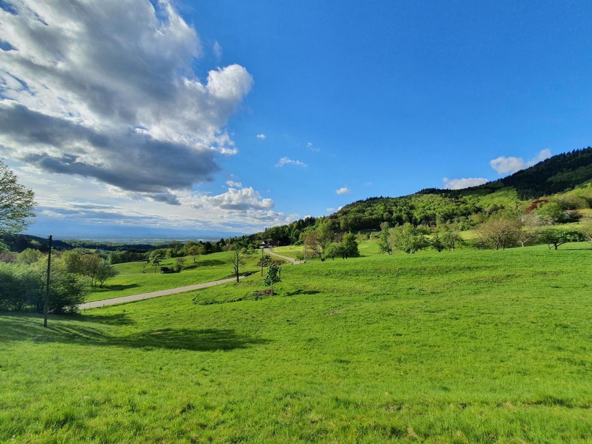Ferienwohnung Am Musbach In Badenweiler-Sehringen 外观 照片